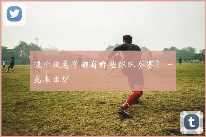 现阶段意甲都有哪些球队参赛？一览表出炉