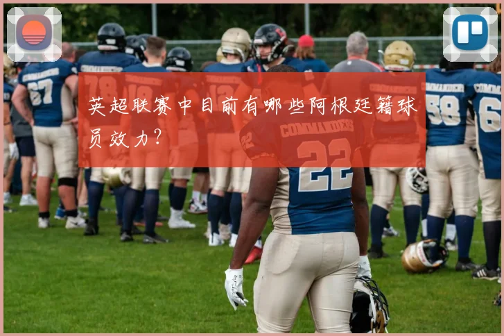 英超联赛中目前有哪些阿根廷籍球员效力？