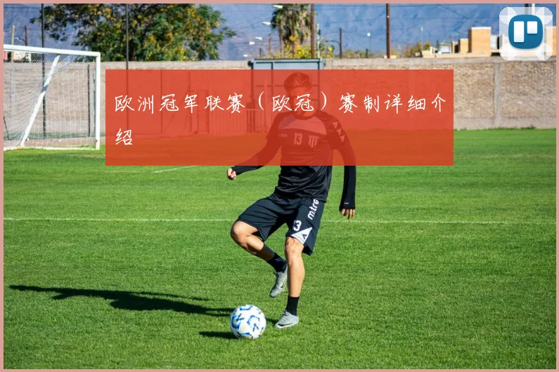 欧洲冠军联赛(欧冠)赛制详细介绍