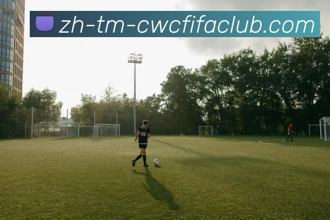 世界杯竞猜平台生态图